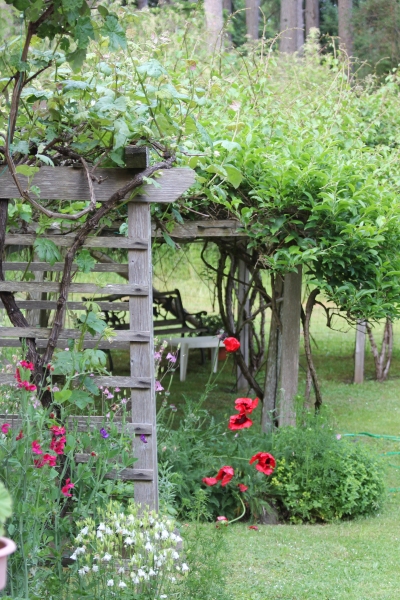 The Kiwi and Grape Garden